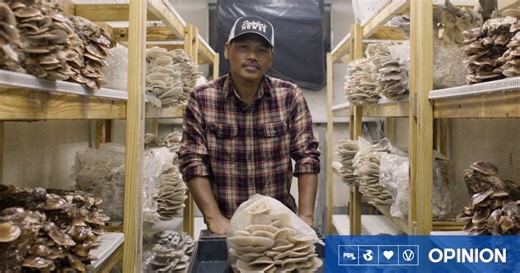'Transfarmation' Stories: The Farmers Switching From Animals To Crops