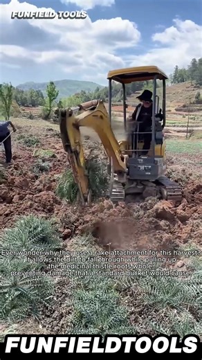 Smart Root 🌿 HARVESTING With Machines #Excavator