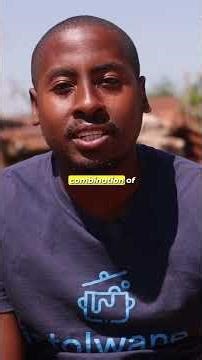 3 Iconic Zimbabwe Dishes