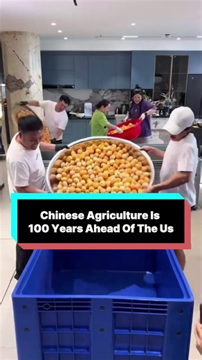 The Value of Orange Fiber in Chinese Agriculture