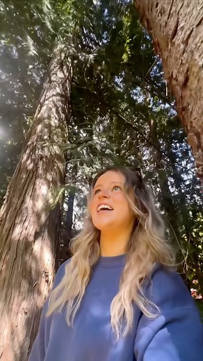 Macaila Wagner on Instagram: "Northern Flicker, scientific name: Colaptes auratus There are two distinct groups of northern flickers: “Yellow-shafted Flicker” in the East and far north, and “Red-shafted Flicker”in the West. These flickers have brown, barred back; spotted underparts, with black crescent bib, and their white rump is conspicuous in flight, with no white wing patches. “Red-shafted Flickers” have a brown crown and gray face, and only the males have this red moustachial stripe! Keep y