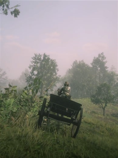 I always steal the two wheeled wagons 😂😂#rdo #rdr2 #reddeadredemption2 #tokyodrift #rdedeadonline