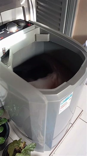 lavadora Colormaq 14kg lca14a e tanquinho Colormaq 20kg lcs20