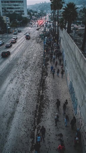 Most Amazing Top 10 on TikTok