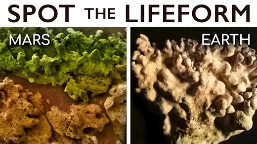 Mars and Earth: Parallels That Could Lead Us to Alien Life