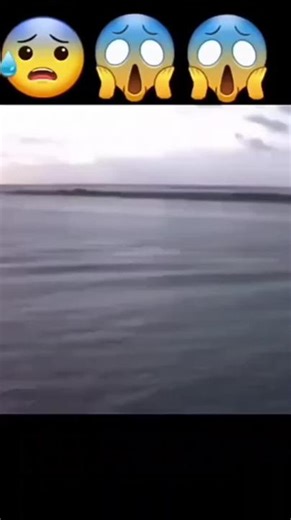 Explorando la Talasofobia y sus Curiosidades