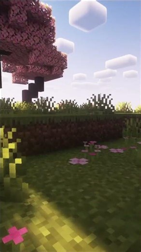 RTX ВИШНЕВИЙ ГАЙ у Minecraft #minecraft #rtx
