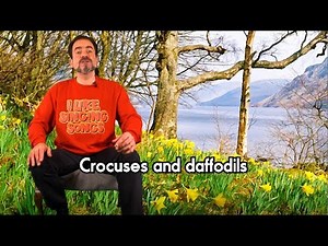 Crocuses & Daffodils | Super Simple Songs | ASL & BSL Spring Songs | Sign Flowers