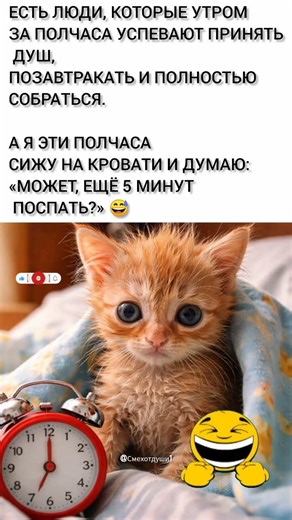 Когда будильник прозвенел а ты ещё не понял, где находишься😂#cat #смех #юмор2026 #shorts #funnycat