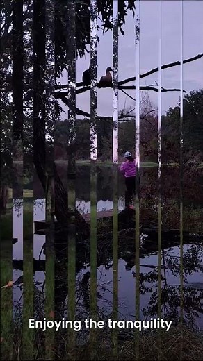 Master Pond Fishing: Tips & Techniques for Beginners