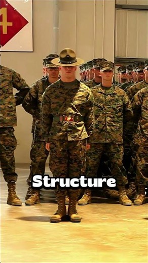 Meet the Drill Instructors #usmc #usmarines #marine #bootcamp #drillinstructor