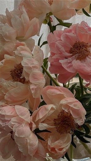 MIRA 🖤 | 😅 | Instagram