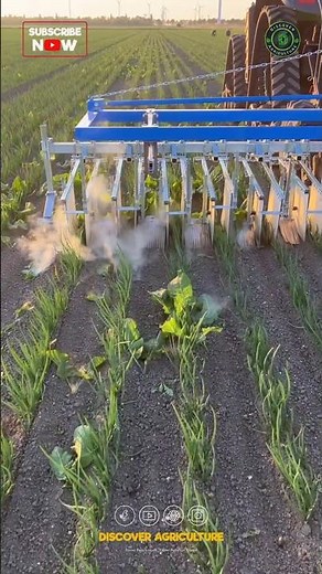 This is how Laser Weeding Technology