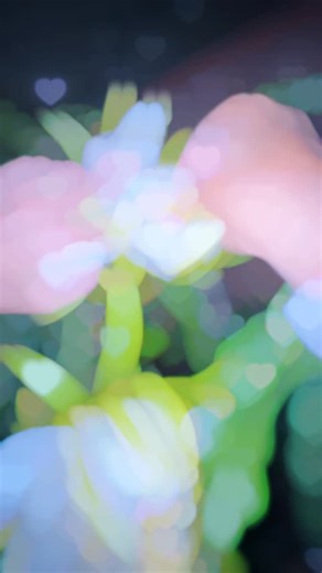 Step-by-Step of how I collect dragonfruit fruit pollen for future pollination. 🐉Timing: Collect pollen at night, as soon as the dragon fruit flower opens, to maximize its viability. 🐉Prepare the Flower: Gently bend the petals out of the way or slightly open the flower petals to expose the anthers. 🐉Collecting Pollen: Use a mini keyboard vacuum by holding the flower base and vacuuming the anthers to suck the pollen into the device’s canister. 🐉Drying Pollen: Once collected, allow the pollen t