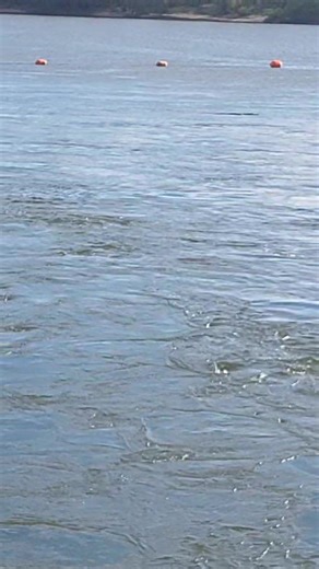 16 reactions | God's coloring book | Patricia Boone Hogans | Facebook