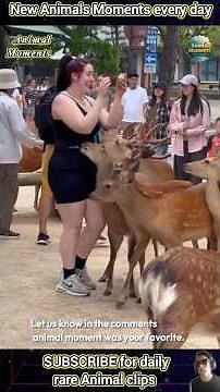 19 Rare and Hilarious Animal Clips You've Never Seen!