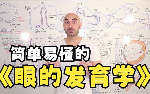 【中英双字】【眼的发育学胚胎学】Embryology of the Eye Easy to Understand