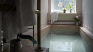 Historic Roman Bath in Berkeley Springs State Park with lotus flowers and warm clear water. Slider shot.