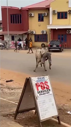 Daily Life Moments That Hit Different 🌍 Real Street Vibes #shorts