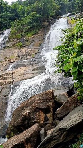 ।।Bamni water falls।।🫧🍃🤩#ytshorts#foryou#naturelove#travel