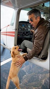 A puppy saved a pilot’s life ✈️🐶 | Zootopia Ai
