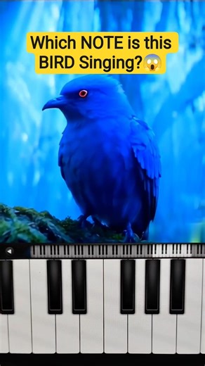 Which Note Is This Bird Singing? 😱🎶 Only 1% Get It Right!🐦 Test Your Pitch & Guess It Now! Challenge