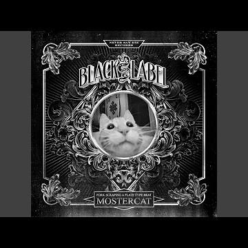 Fork Scraping a Plate Type Beat