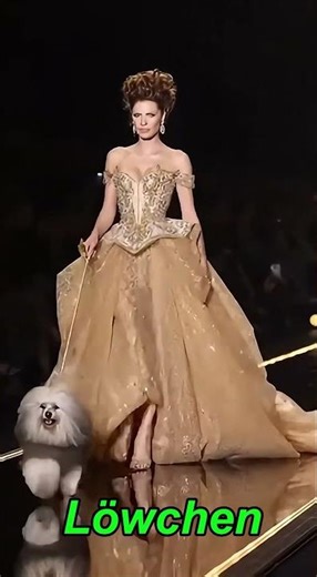 Supermodels + Million-Dollar Dogs: The Most Glam Runway Ever!