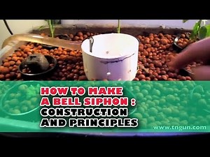 How to Make a Bell Siphon | Construction and Principles of Operation