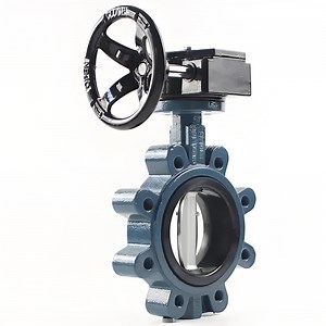 [Hot Item] High-Performance Manual Control Valve for Steam and Liquid