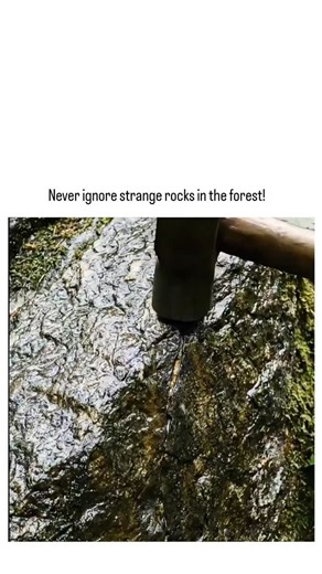 trend_ifyusa on Instagram: "The post shares a 22-second AI-generated video depicting a hiker chiseling gold from a mossy forest rock, melting it into a bar weighing about 20 grams, which has amassed 1.4 million views and 6,700 likes since posting earlier today. Replies overwhelmingly identify it as AI "slop" due to unnatural fluidity and physics-defying details, like instant melting without flux, contrasting real gold prospecting that often yields trace amounts from quartz veins per USGS data. P