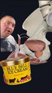 590K views · 26K reactions | What causes blue balls? #anatomy #medical #science | SCI Body Therapy | Facebook