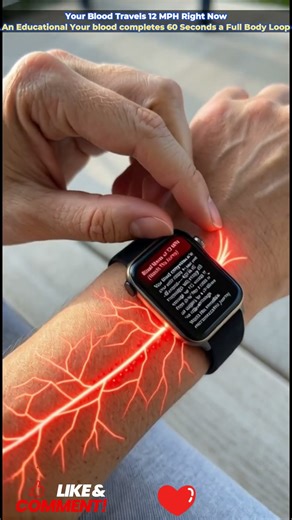 #BloodFlow #HumanBody #ScienceFacts #educationalvideo