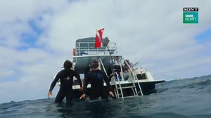 BBC Earth Bermuda Triangle Documentary - Bernews