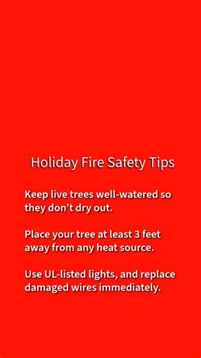 🔥 Holiday Fire Safety Starts With Safe Egress 🔥 At Egress Pros, safety is everything — especially during the holiday season when fire risks rise in every home. Here are a few quick reminders to help protect the people you love: 🎄 Trees & Decor Keep live trees watered, use safe/UL-listed lights, and turn them off before bed. A dry tree can ignite in seconds. 🕯️ Candles Never leave them burning unattended. Keep them away from anything that can catch fire. LED candles = safer holidays. 🔥 Firep