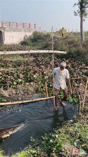 Rice paddy irrigation system 2