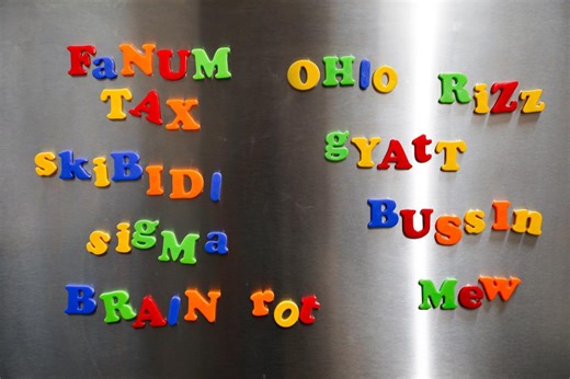 Skibidi, gyatt and Ohio: Learn the meaning, origin behind Gen Alpha's slang