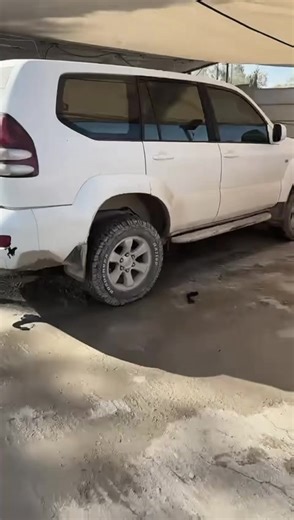 ‏#לקייה📍 #الشعب_الصيني_ماله_حل😂😂 #مسيكو_بالخير_ياهل_اتيكتوك🥀👋🤍_