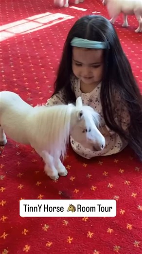 Muhammad Sohail on Instagram: "A cute baby exploring a tinny horse house visit 🐎💖 Tiny horses enjoying a cozy room tour with love, care, and smiles. Pure happiness, innocence & animal love in one frame ✨ 👉 Follow for more tinny horse videos 👉 Like, Share & Save 💕 #tinnyhorse #tinyhorse #minihorse #horsehouse #roomtour babyandhorse"