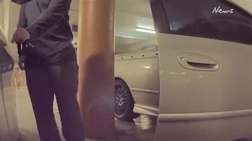 Video captures moment Tesla is keyed south of Sydney