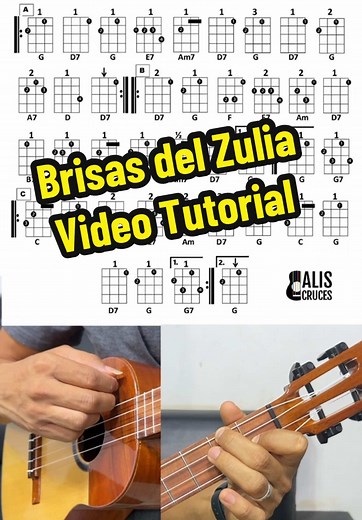 Brisas del Zulia: Vals Venezolano Tutorial