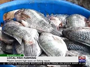 Local Fish Farming