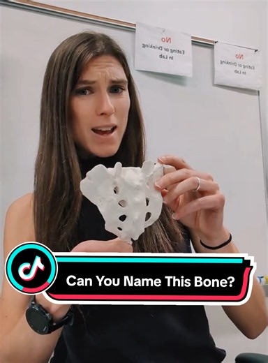 #anatomy #anatomyandphysiology #TikTokLearningCampaign #edutok #stem | anatomy