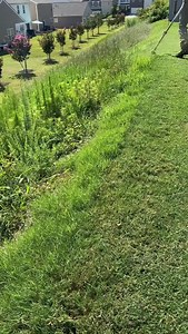 333 reactions | Wonder where the property line is  #edge #unbroken #letsride | Lawn Care Pro | Facebook