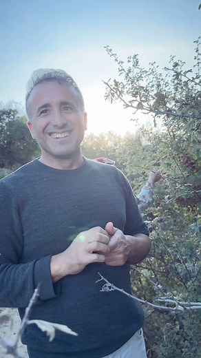 MEM ARARAT | Wexta zarokatiyê çavê me li rêya çerçîyên barê wan guhîj bûn. Êdî itar nayên, em diçin hevdana guhîjan😊 | Instagram