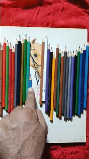 how to draw a horse .horse drawing tutorial.step by step for biggners draw with me