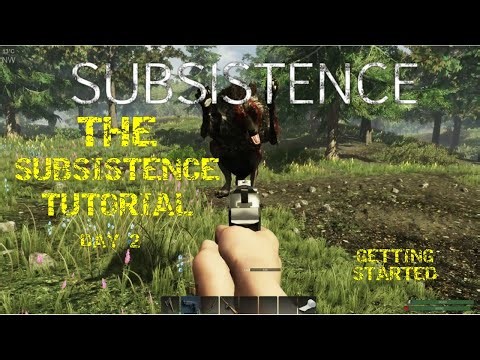 The Only SUBSISTENCE Tutorial You Need! Day 2