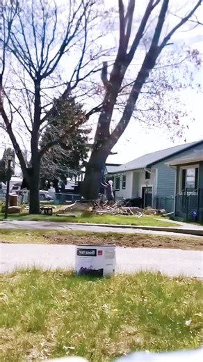 A Day in the Life of an American Logger: Nature's Work