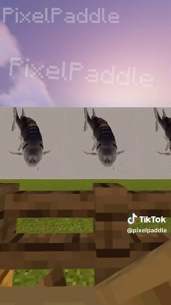 TikTok의 Pixel Paddle