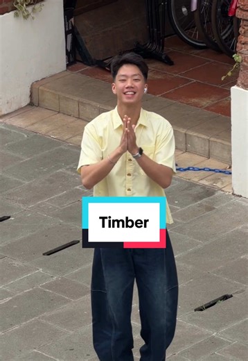 Timber Dance Challenge: Footwork & Moves